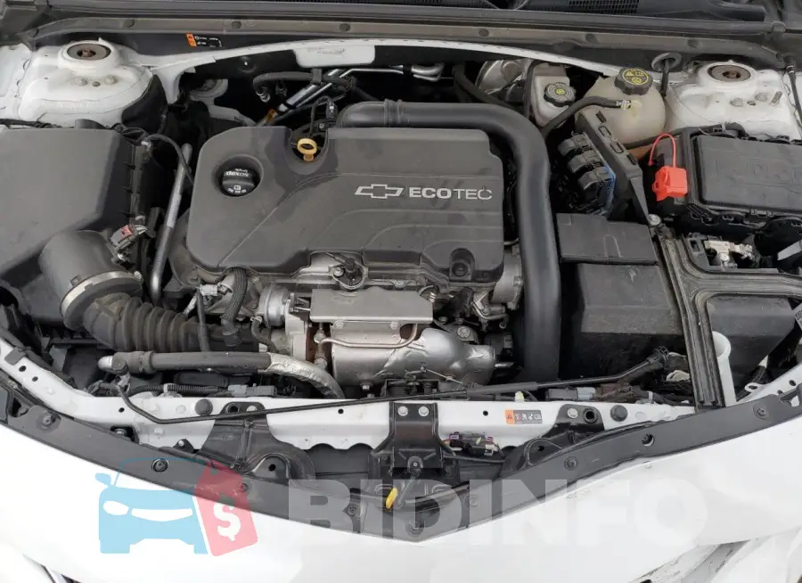 1G1ZB5ST6GF244368 Photo# 11