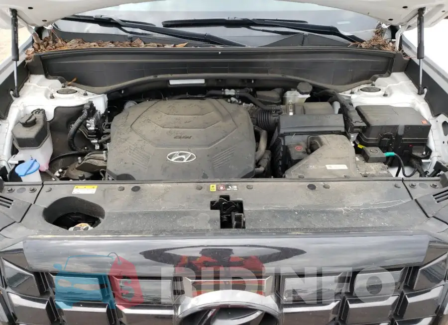 KM8R3DGE3PU501244 Photo# 12