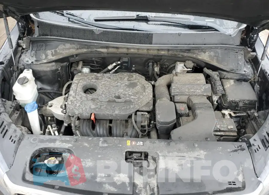 5XYPG4A31KG573772 Photo# 12