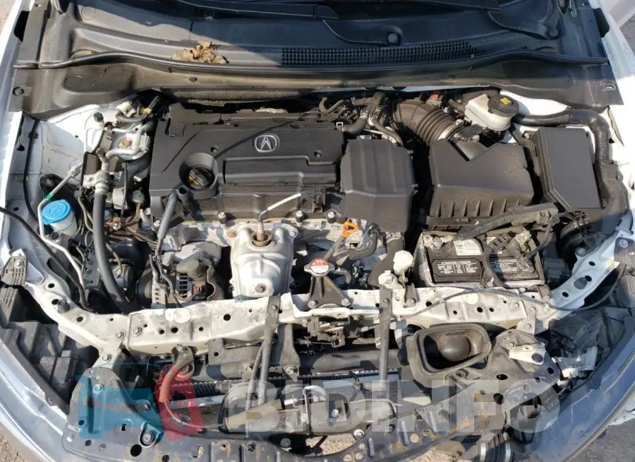 19UDE2F37KA001337 Photo# 11