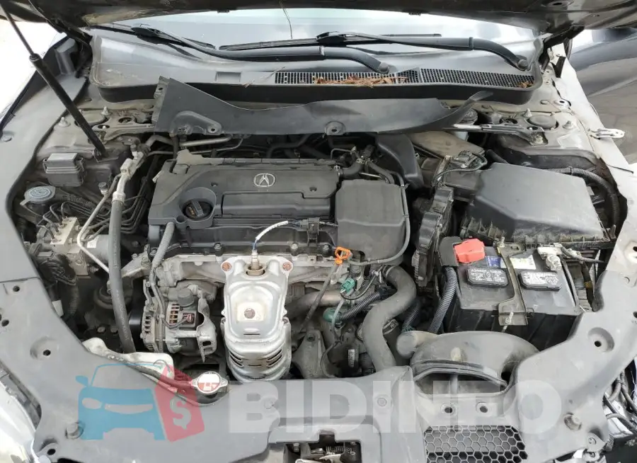 19UUB1F30FA005819 Photo# 11
