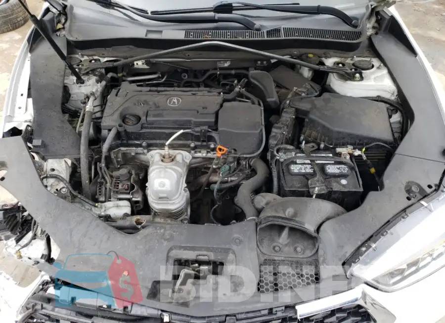 19UUB1F35JA006263 Photo# 11