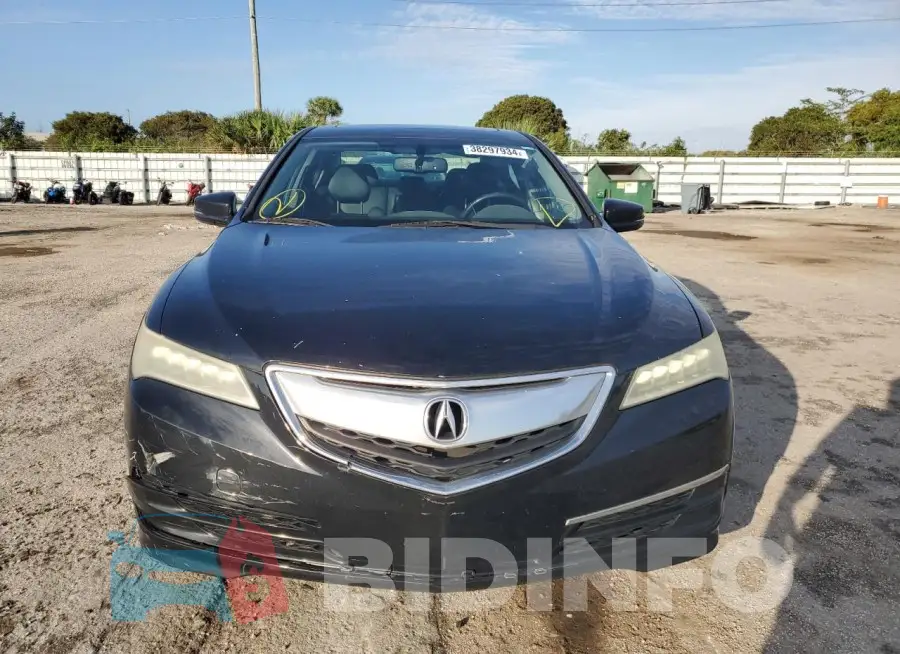 19UUB1F36FA017747 Photo# 5