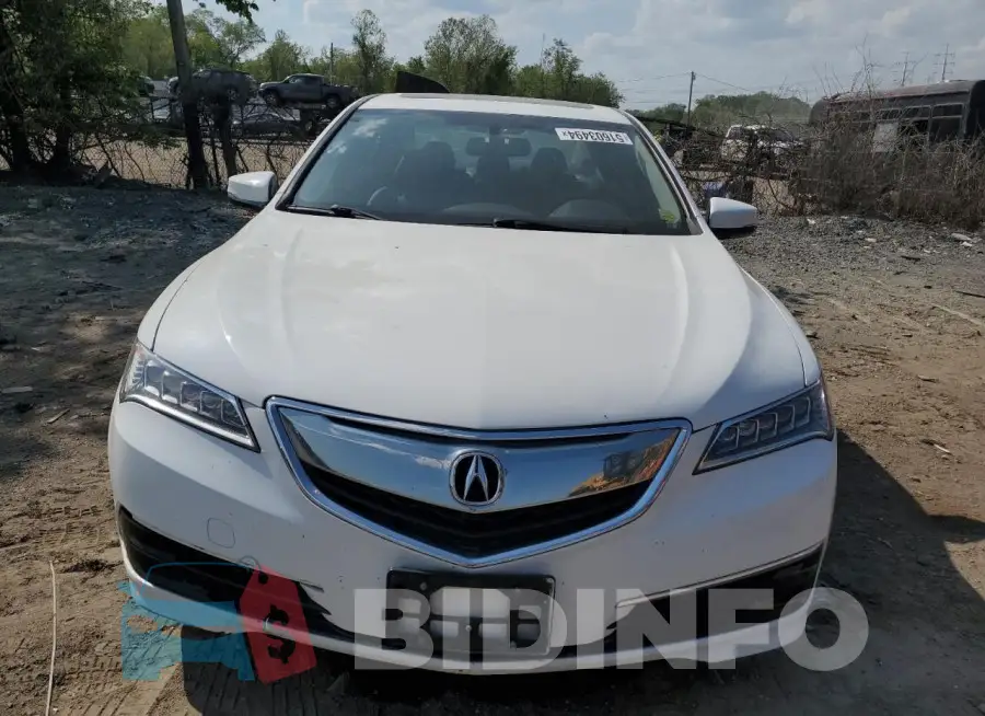 19UUB1F38FA029415 Photo# 5