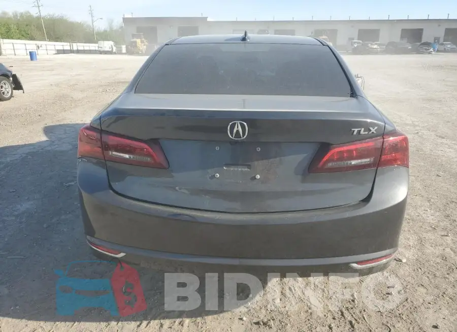 19UUB2F31FA013157 Photo# 6