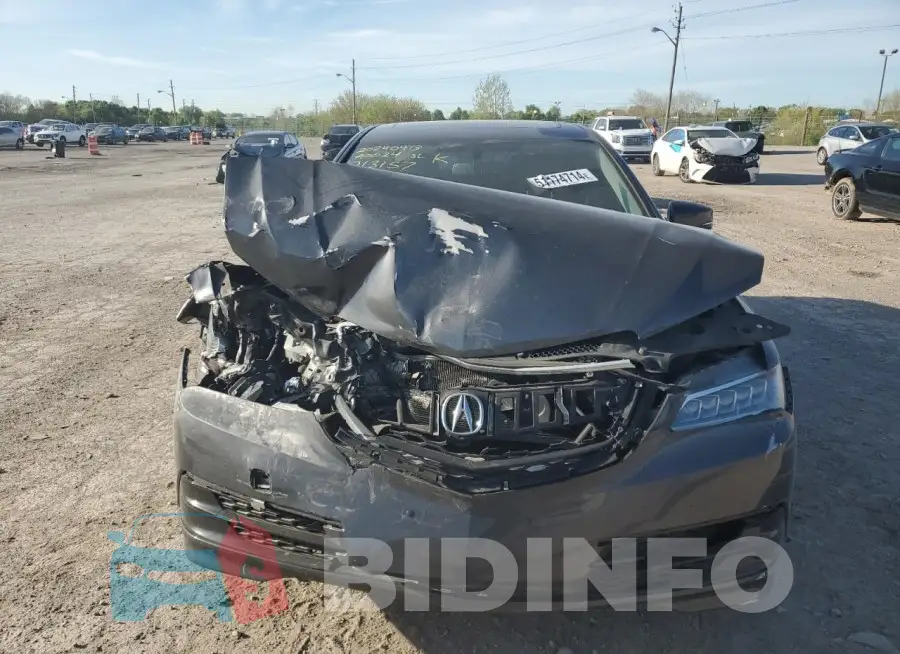 19UUB2F31FA013157 Photo# 5