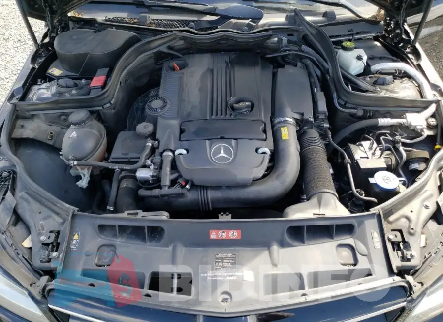WDDGJ4HB8FG372202 Photo# 11