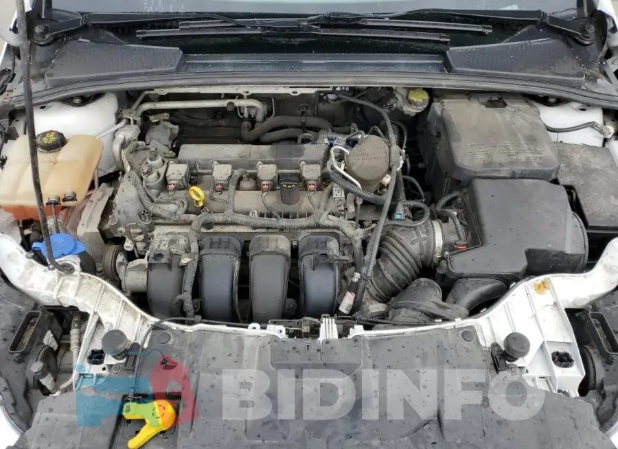 1FADP3F24FL213361 Photo# 11