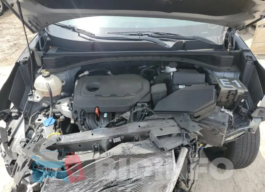 KNDPN3AC5M7874562 Photo# 11