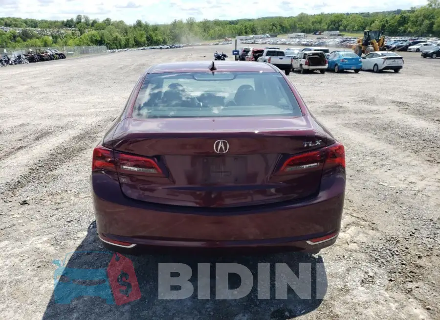 19UUB1F33FA014871 Photo# 6
