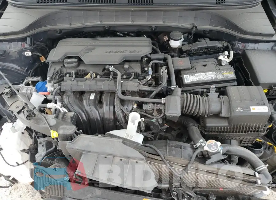 KM8K22AB2PU934951 Photo# 11