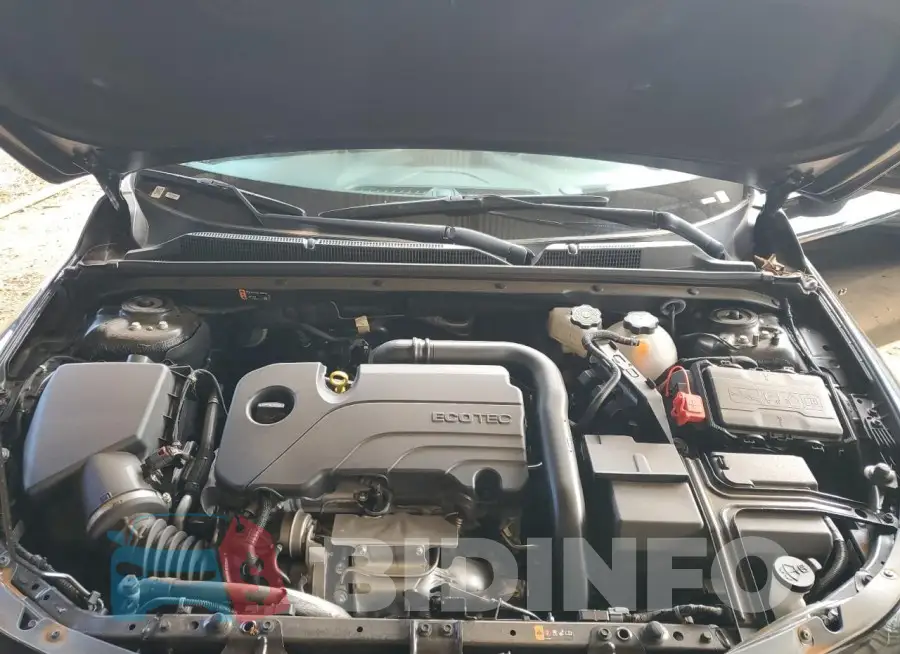 1G1ZD5ST4PF216319 Photo# 11