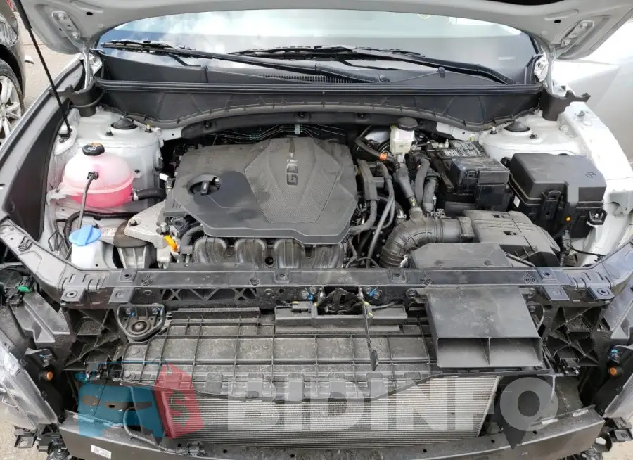 5NMJACDE0RH342554 Photo# 12