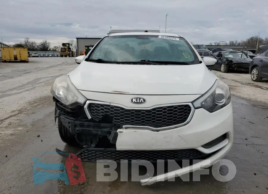 KNAFK4A62G5591294 Photo# 5