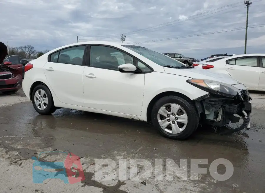 KNAFK4A62G5591294 Photo# 4