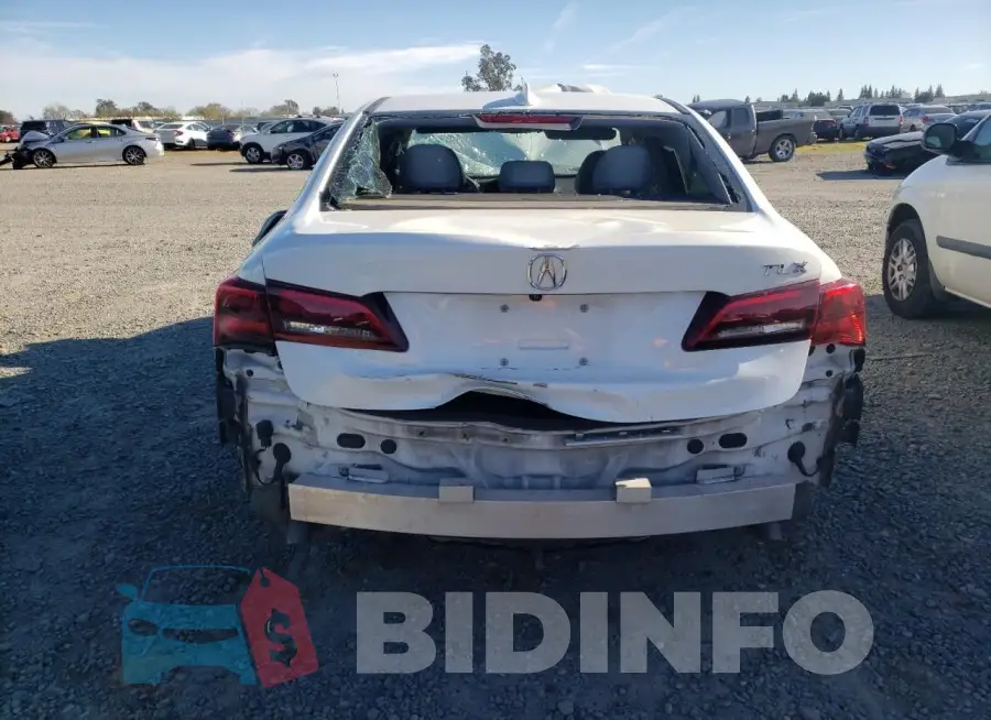 19UUB1F54FA004576 Photo# 6