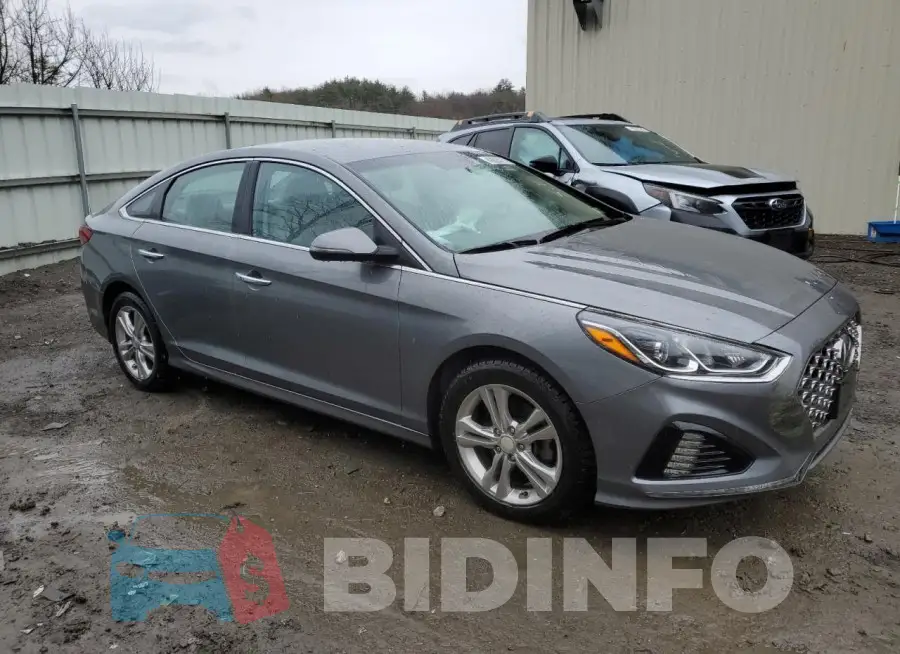 5NPE34AF6KH743095 Photo# 4