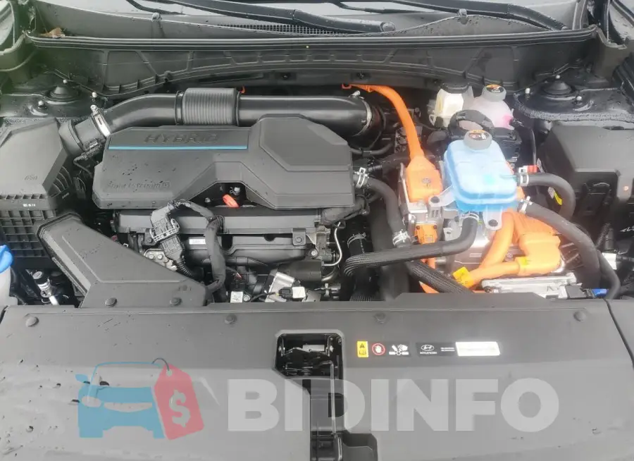 KM8JBDD22RU144054 Photo# 11