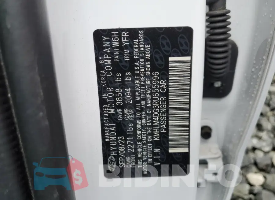 KMHLM4DG3RU655996 Photo# 13