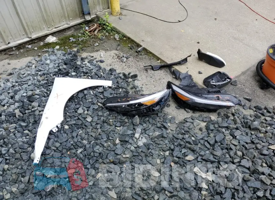KMHLM4DG3RU655996 Photo# 12