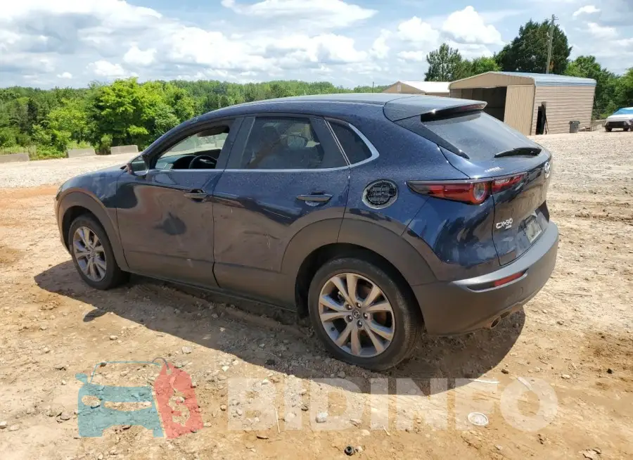 3MVDMBCL6MM220896 Photo# 2