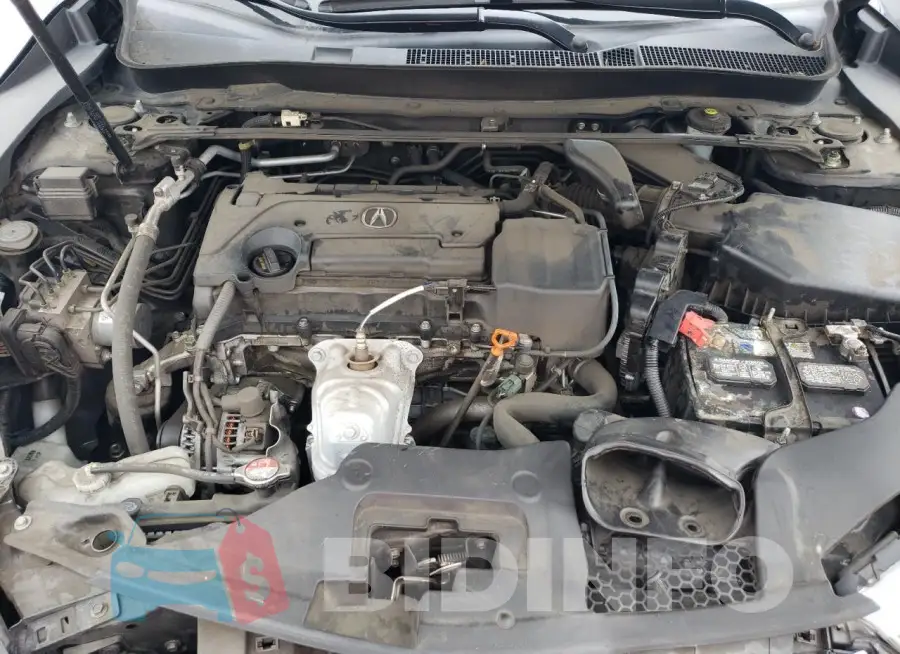 19UUB1F52JA008425 Photo# 11