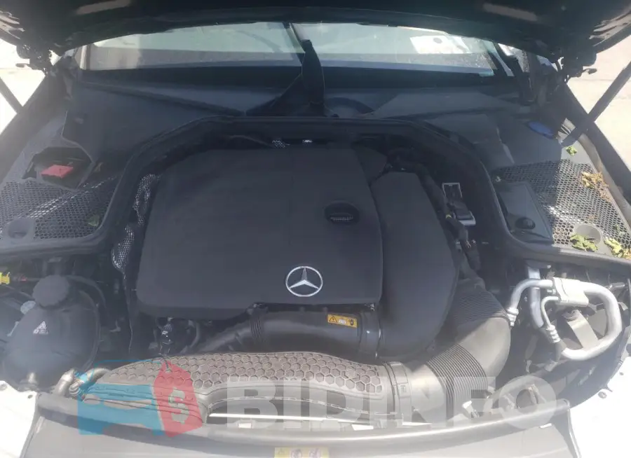 WDDWF8DB4LR525927 Photo# 11
