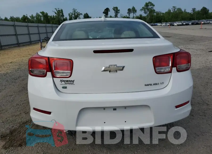 1G11D5SL5FF124664 Photo# 6