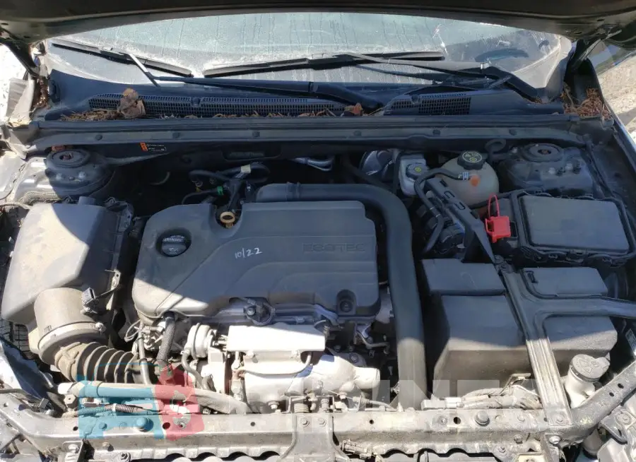 1G1ZD5ST3KF145591 Photo# 11