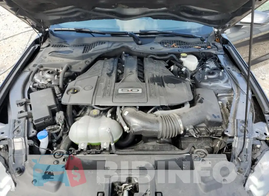 1FA6P8CFXP5300667 Photo# 11