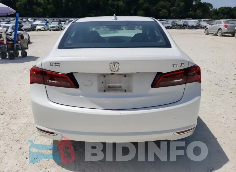 19UUB1F31GA003708 Photo# 6