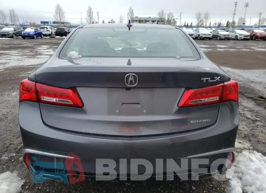 19UUB3F53KA800984 Photo# 6