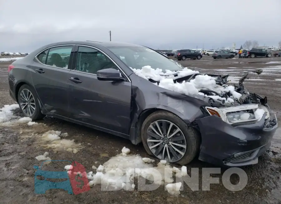 19UUB3F53KA800984 Photo# 4