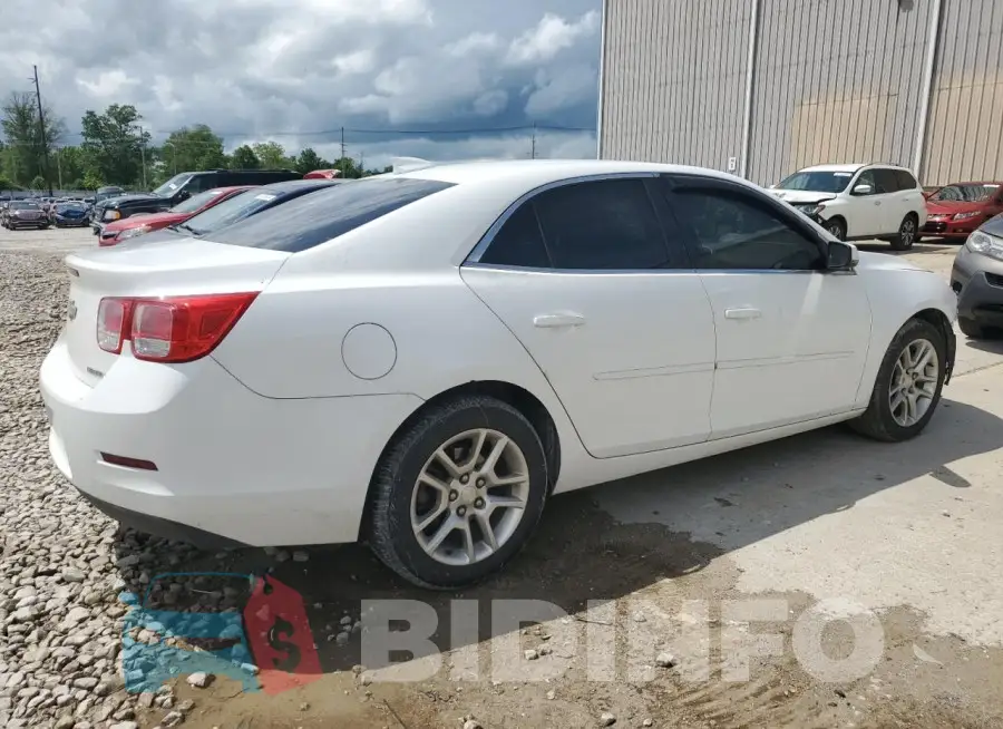 1G11C5SLXFF296921 Photo# 3