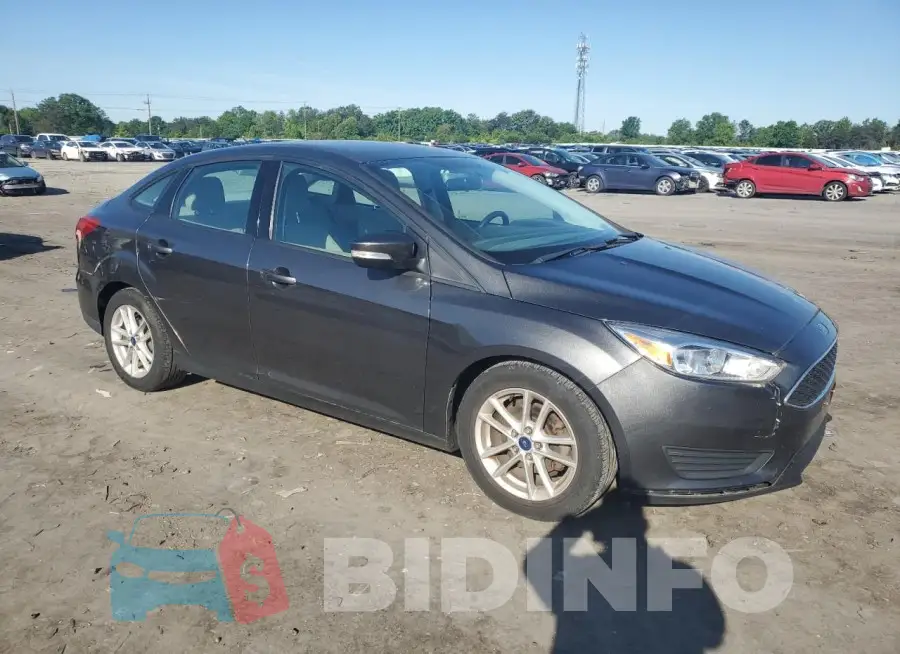 1FADP3F21GL242592 Photo# 4