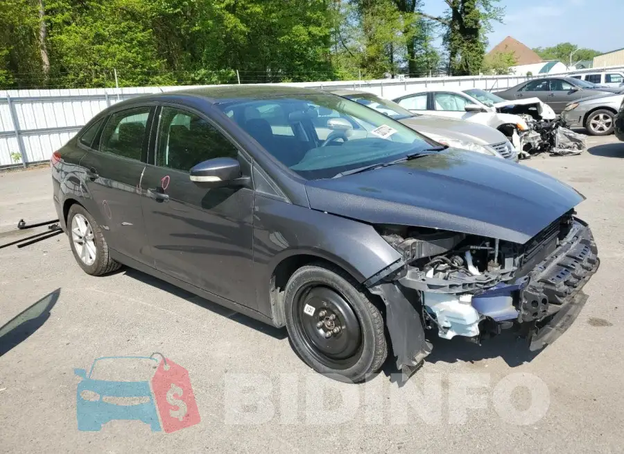 1FADP3F21GL342644 Photo# 4
