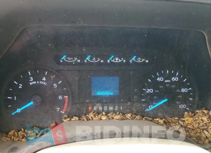1FDRF3H64JEB53772 Photo# 9
