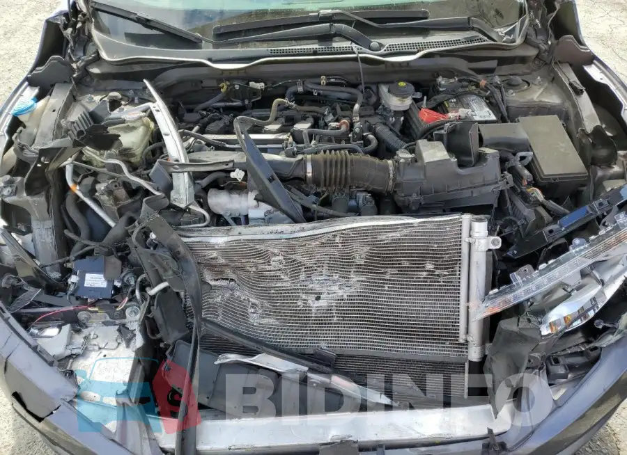 19XFC1F94GE202855 Photo# 11