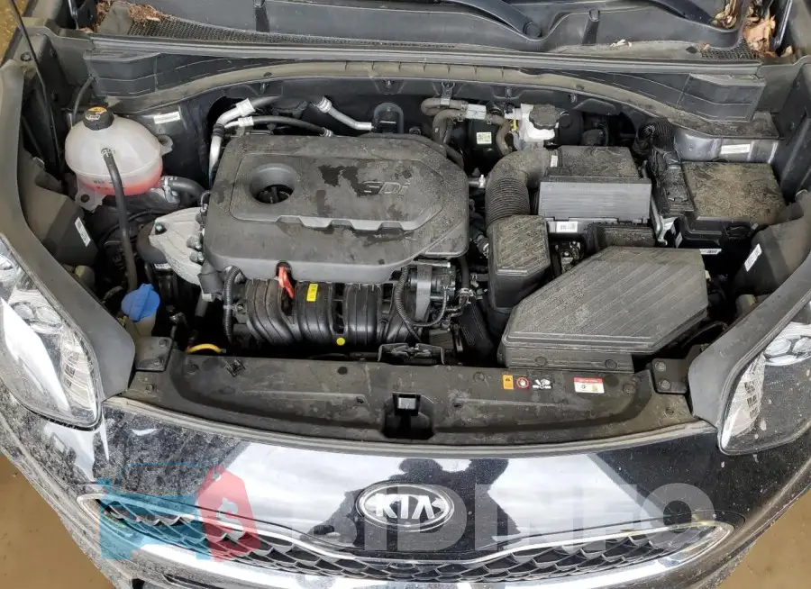 KNDPM3ACXM7870431 Photo# 11