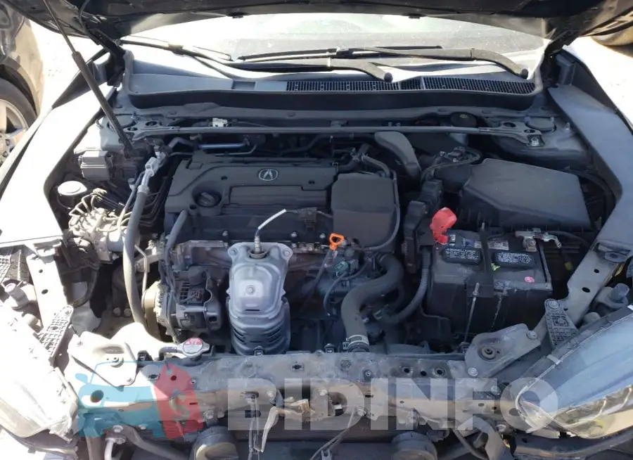 19UUB1F66KA003853 Photo# 11