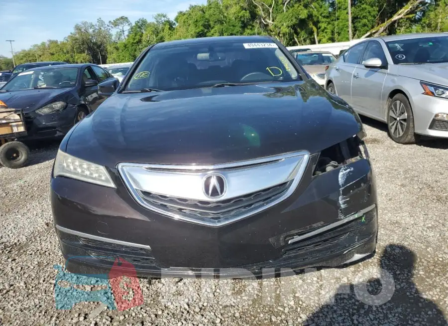 19UUB2F34FA018384 Photo# 5