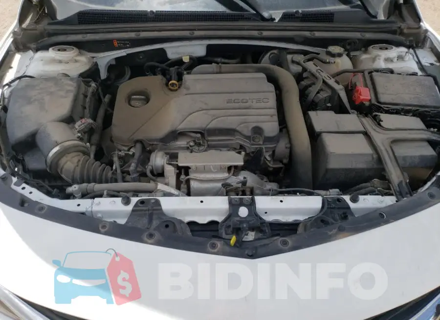 1G1ZD5ST3KF116656 Photo# 11