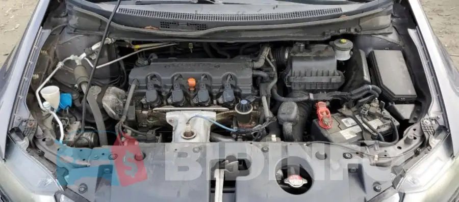 19XFB2F54FE268262 Photo# 11