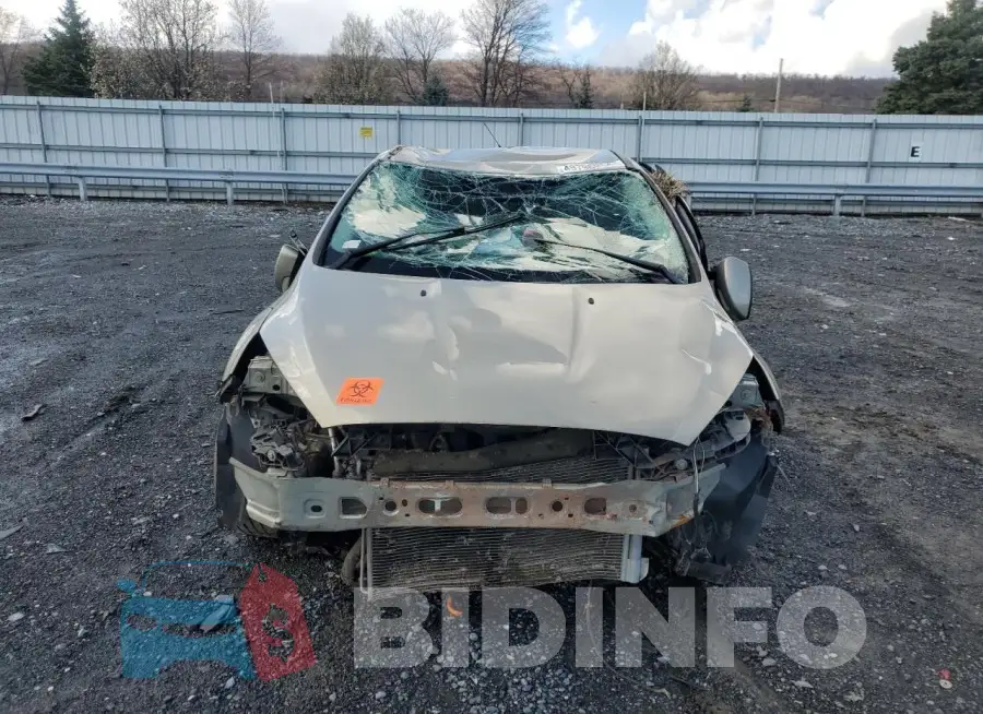 1FADP3F24GL309380 Photo# 5