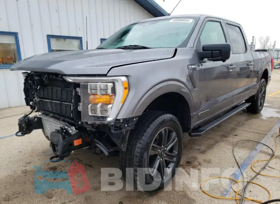 1FTFW1ED8MFB87615 Photo# 1