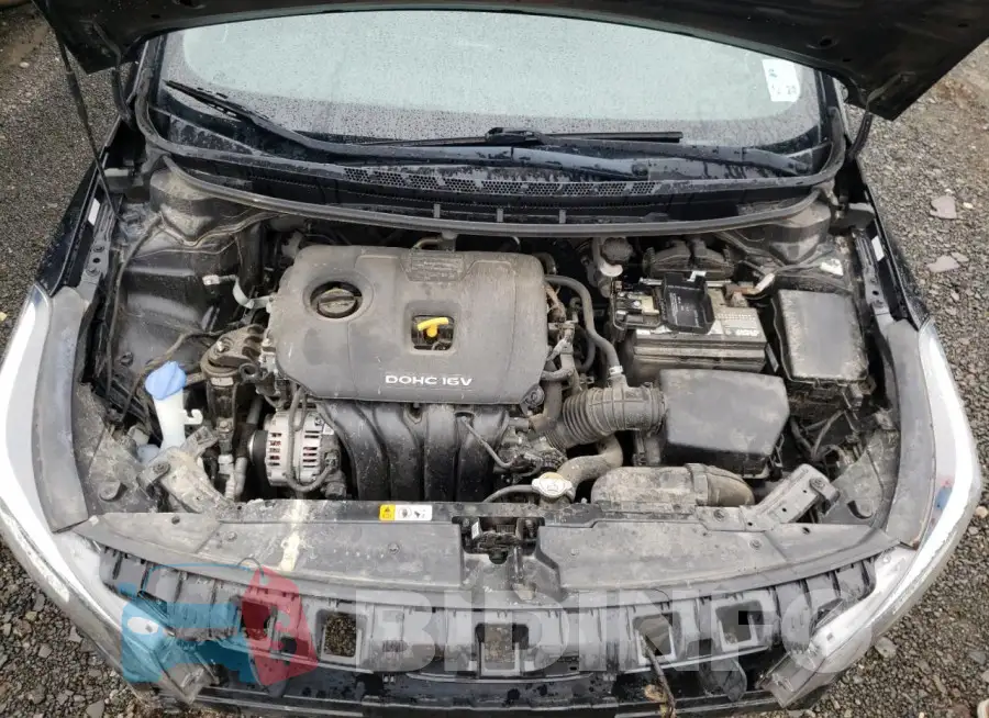 3KPFL4A76HE141114 Photo# 11