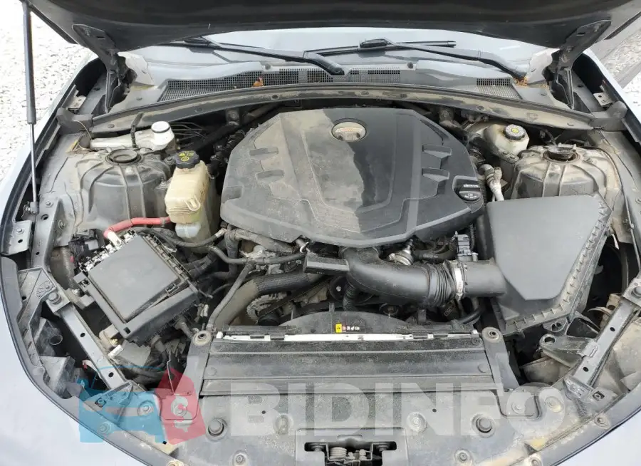 1G1FB1RSXH0209751 Photo# 11