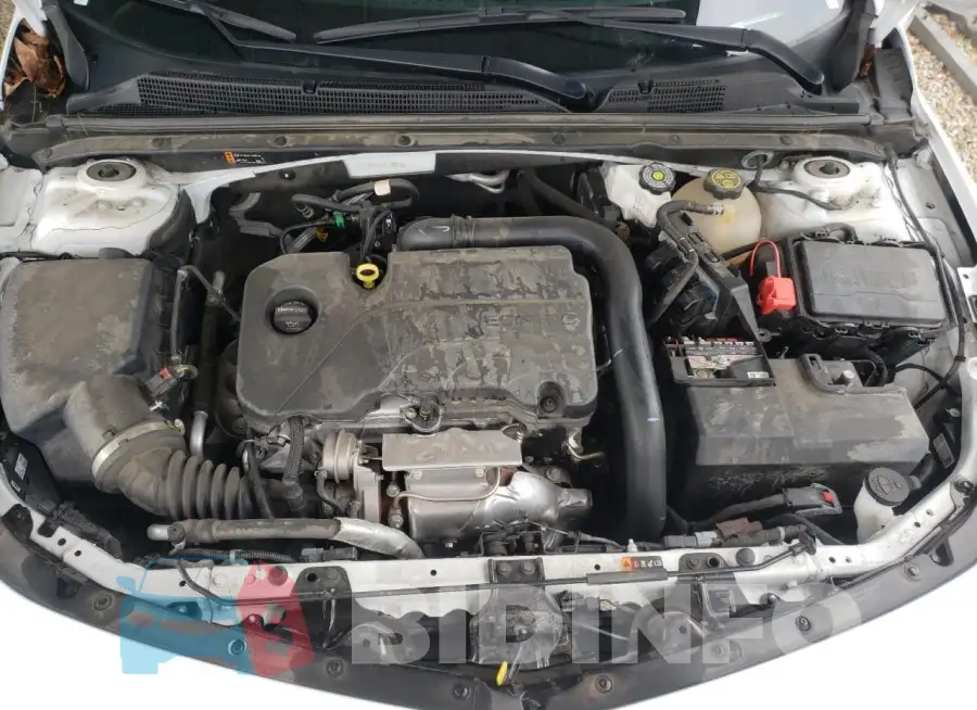 1G1ZD5ST2PF139238 Photo# 11