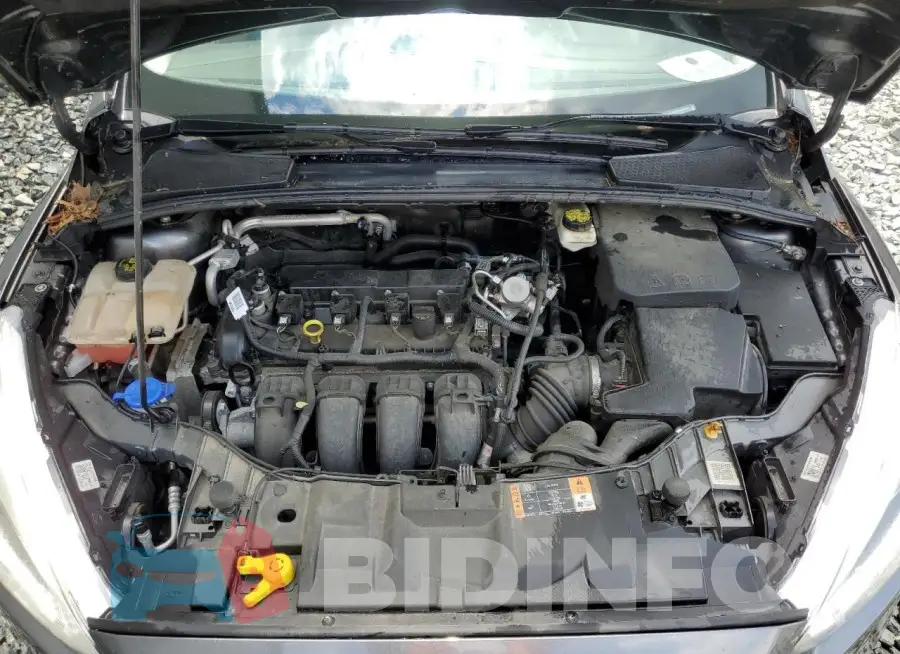 1FADP3E22HL269898 Photo# 11