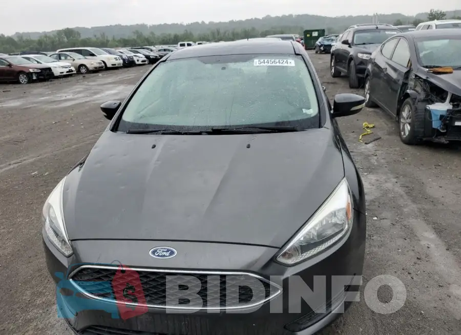 1FADP3F23GL245736 Photo# 5